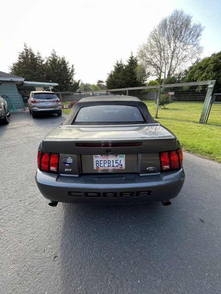 2003 Ford Mustang for Sale