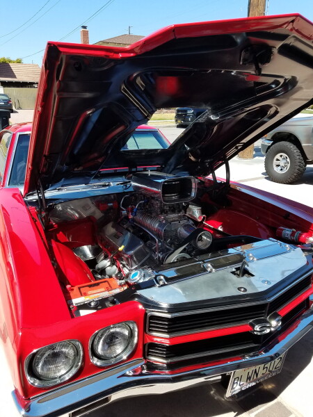 1970 Chevrolet CHEVELLE for Sale