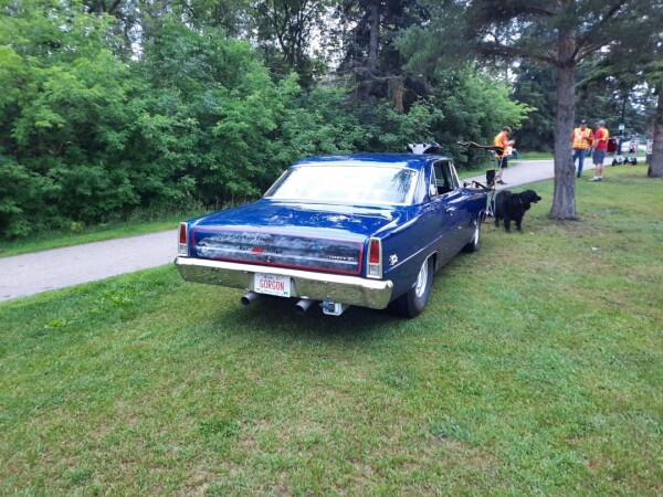 1966 Chevrolet Nova (Chevy II S.S.) for Sale