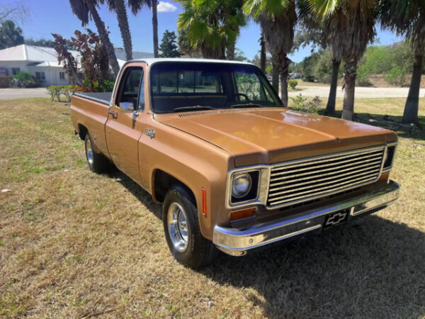 1974 Chevrolet 10 for Sale