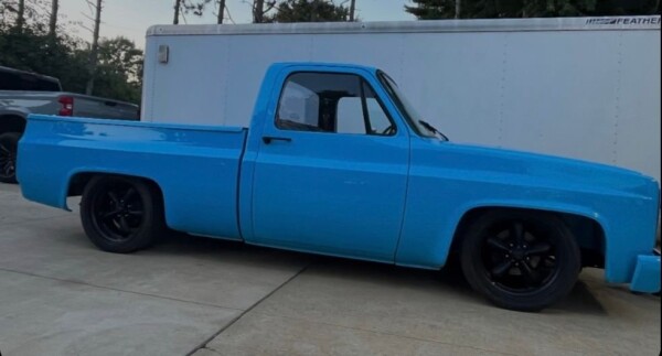 1981 Chevrolet C10 for Sale
