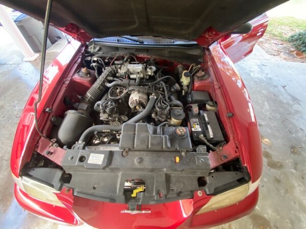 1998 Ford Mustang for Sale