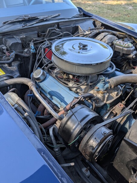 1977 Chevrolet Corvette for Sale