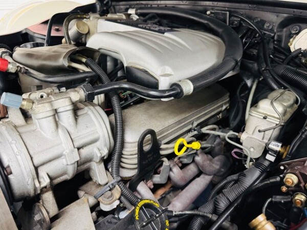 1986 Other Golden Spirit for Sale