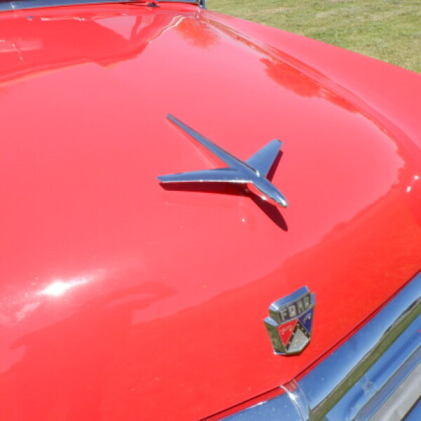 1952 Ford Convertible for Sale