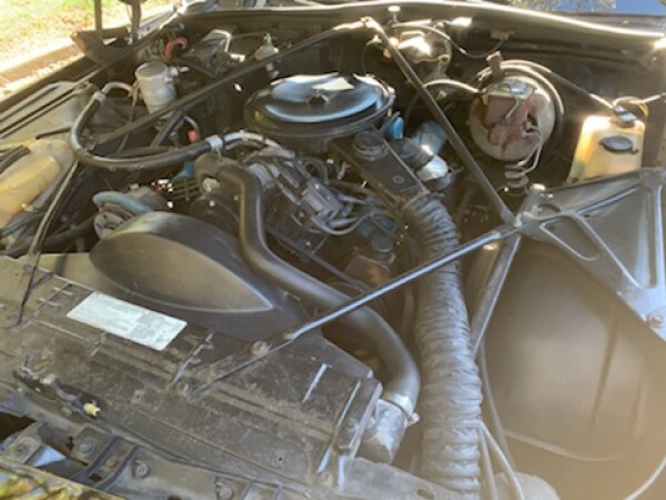 1977 Cadillac Coupe Deville for Sale