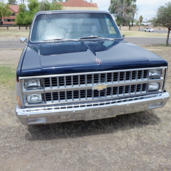 1982 Chevrolet C10 for Sale