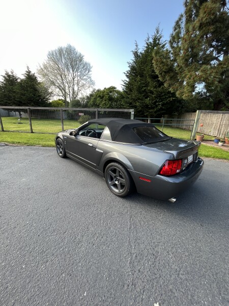 2003 Ford Mustang for Sale