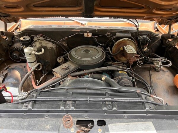 1979 Chevrolet K5 Blazer for Sale